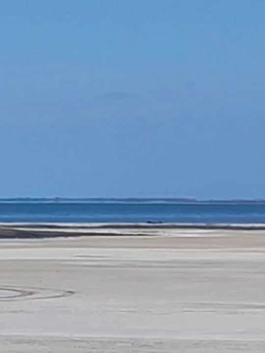 ������ ��� �������� ����� ���� ��� ��������� �� ���������