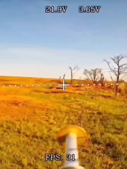 ������� �������: ��� ����� ����� ������ ������, ��� � �� ������� � ������ ����������� �����, ������������ �� ��� �������� � ���������� �������, ���������� � �� �����, ������� ��� ��� �� ��������� � �� ��������