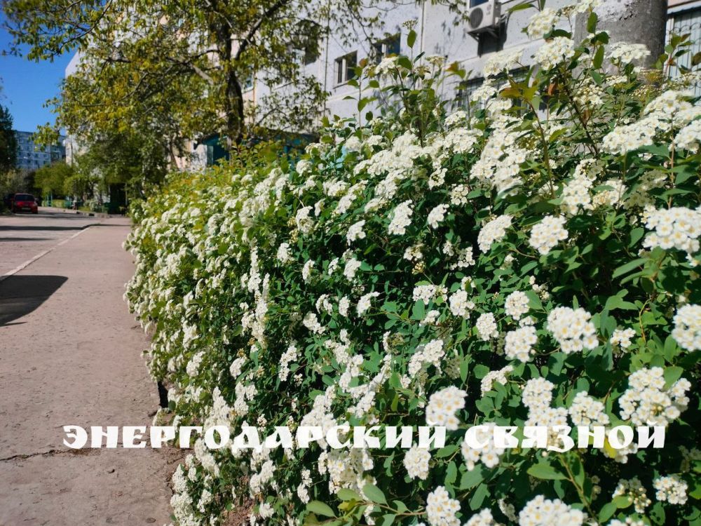 Потихоньку с горки покатила неделя, позади тяжёлый понедельник