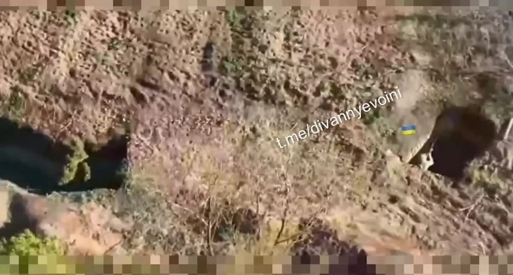 Прилёт FPV-дрона по всушникам на Покровском направлении