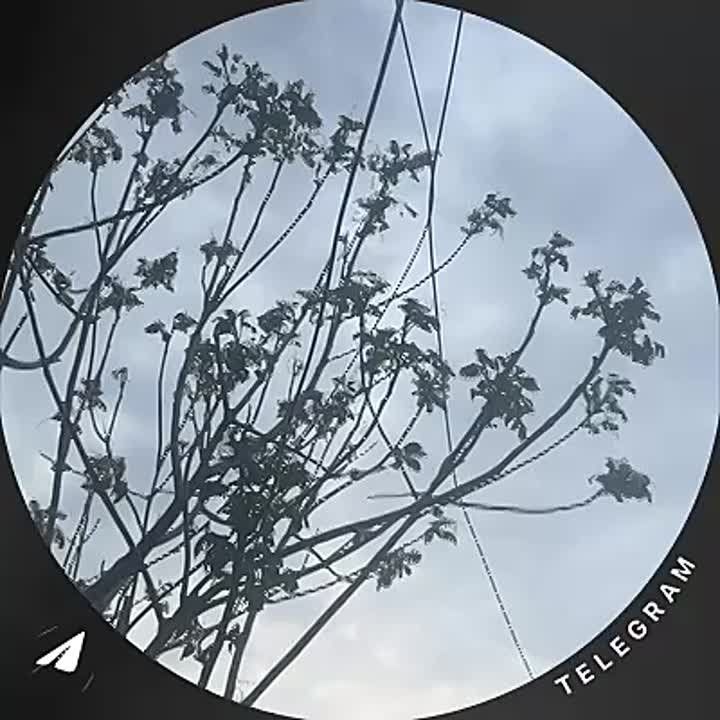 ��� ������: ����������� �����. ���������������� ����� ����������