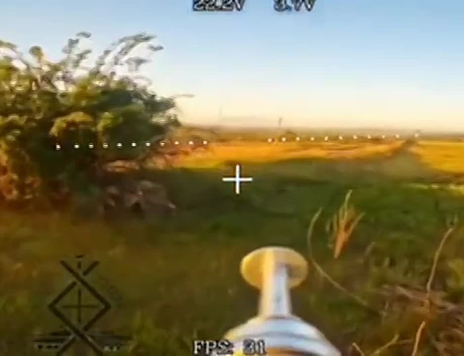 Российский FPV-дрон поражает трёх военнослужащих 10-й горно-штурмовой бригады ВСУ