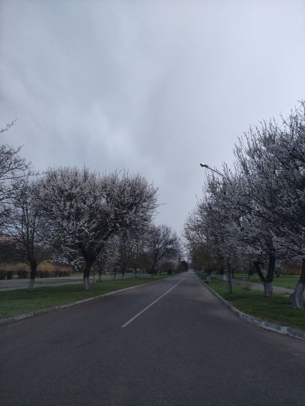 Ясного, солнечного, уютного доброго утра хотим пожелать вам от всего сердца! Пусть свежий воздух, наполненный тёплым и бодрящим ароматом вкусного завтрака, поможет настроиться на позитивное начало нового интересного дня