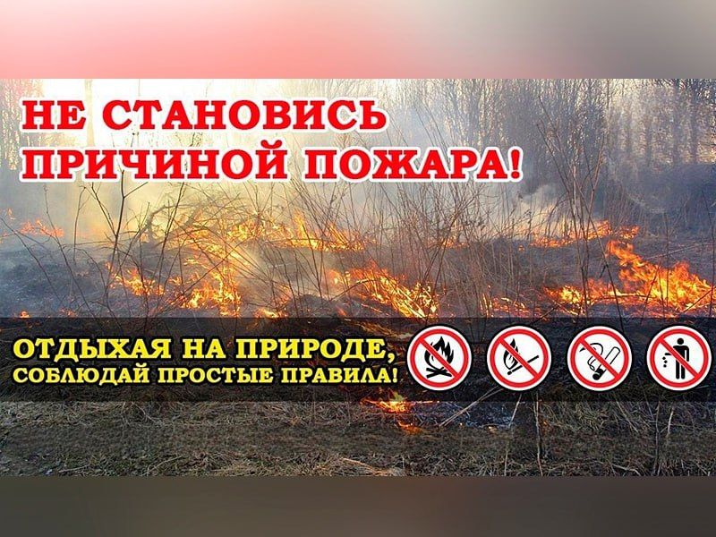 ������� �������� ������������ �� ������ ������: