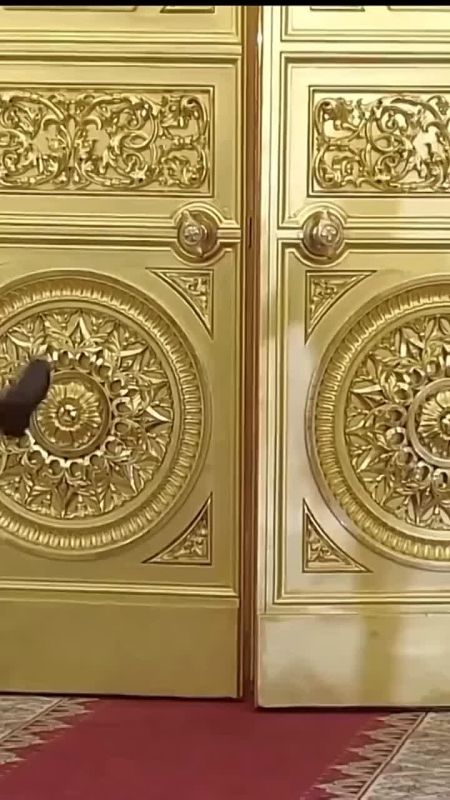 ����� 25 ��� ����� ������ ������ ����������� ��������� ������
