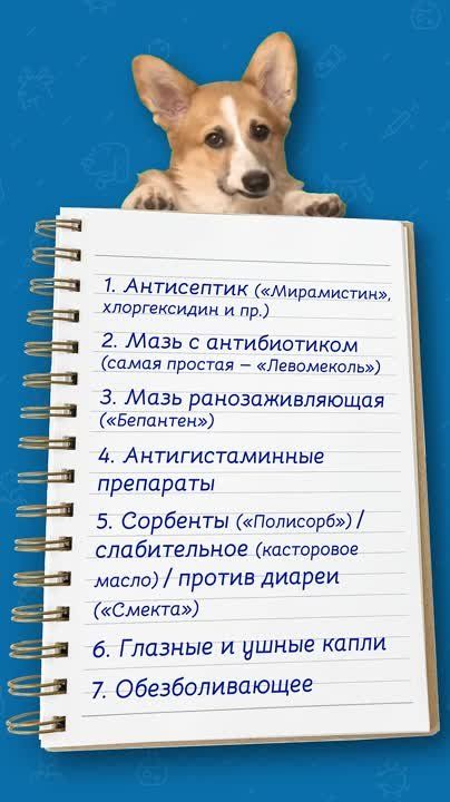 ���������������� (VK). ����� �� ���������� � ���������� �������� � ������ ������ ������ �������, ����� ����� ��� ����� ������������ �������