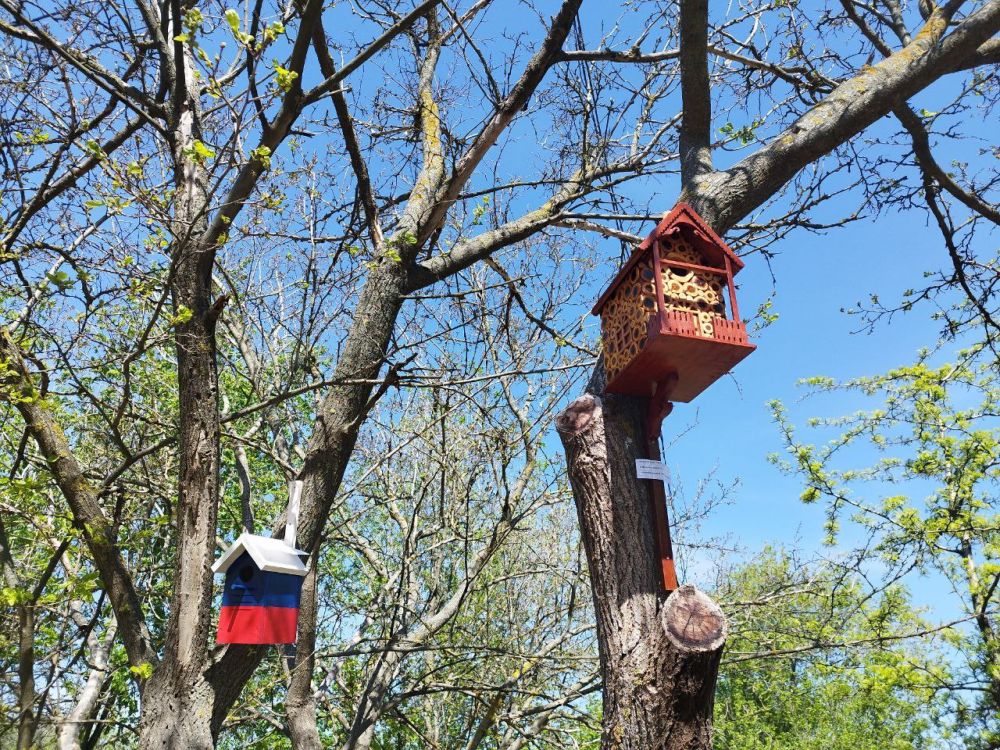"Птичий городок" появился в Акимовском парке