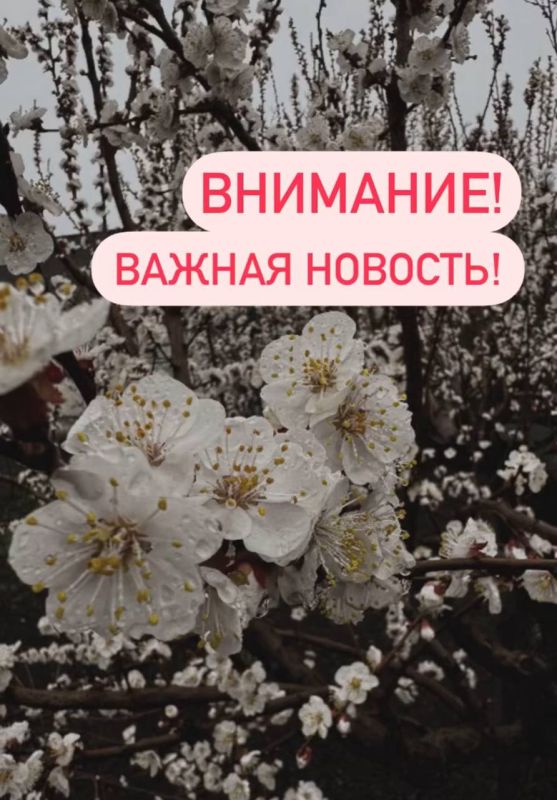 ��������� ������ ������������ �������������� ������!