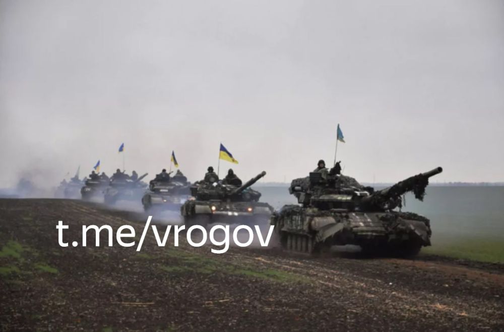 Владимир Рогов: Как ЗеРейх пытается "впарить" России неприемлемую формулу под видом перемирия