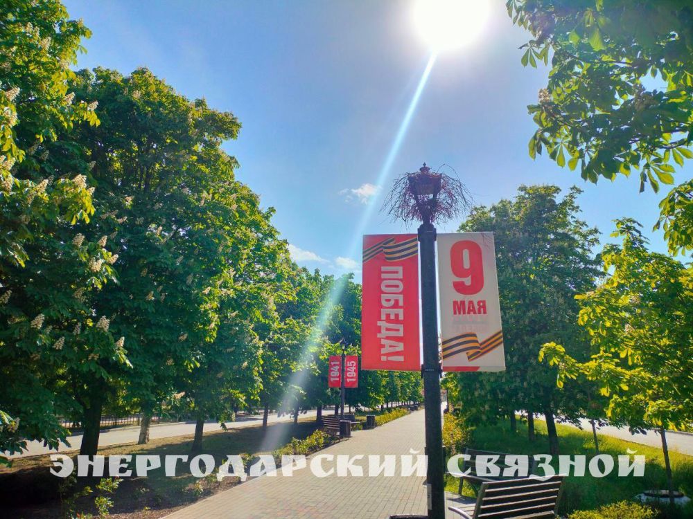 Солнце, радость, любовь, тепло и вдохновение — пускай все эти эмоции наполняют ваш четверг!