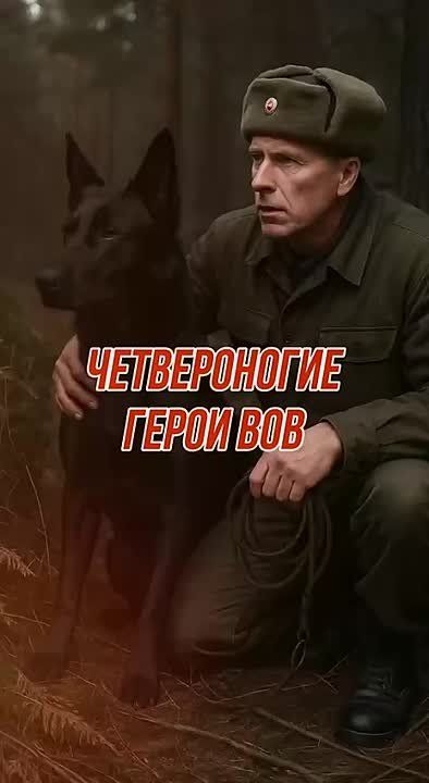 ��� �� ������ �����, �� ������ ��������, �� ��� �� ��������� �� ������
