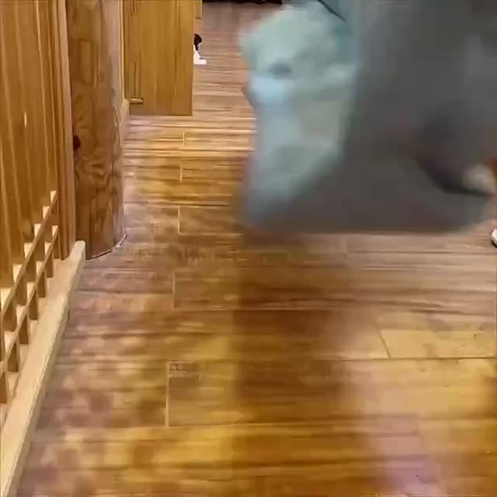 �������� �������, ��� ��� ����� ����������� ������� ���� � �������� ���� ����!