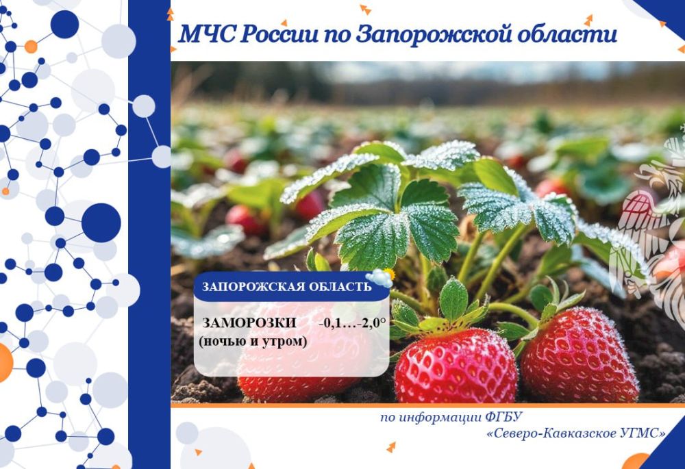 � 10 �� 11 ��� �� ���������� ������� ���������: