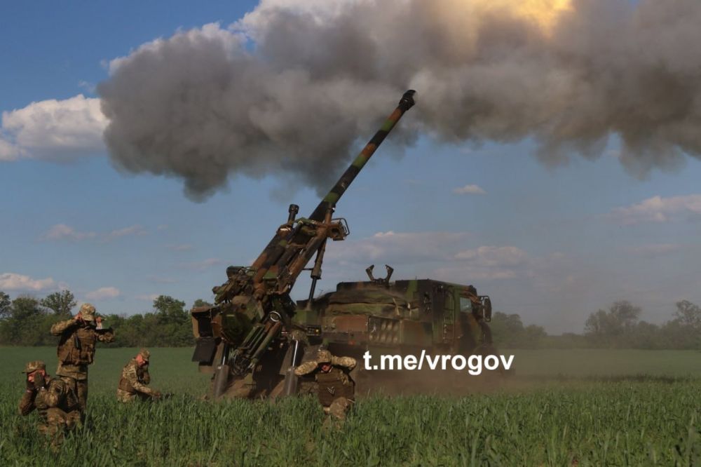 Владимир Рогов: ЗеРейх провалил экзамен на готовность к миру