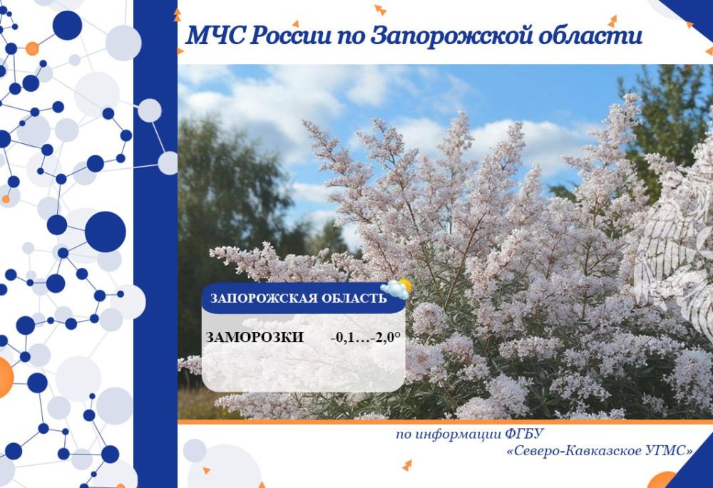 � 11 �� 12 ��� �� ���������� ������� ���������:
