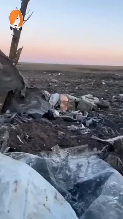 ��� ��� �������� �������� ���� ���������� ����� ������� ������ ����� ���������� � ������� ������