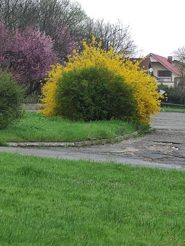 Желаем вам доброго утра! Пусть новый день начинается легко и с прекрасным настроением! Желаем безоблачного дня, достижения поставленных целей, комфорта и радости!