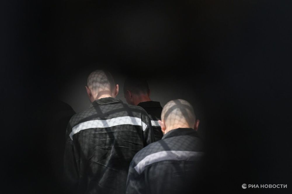 Рогов рассказал о сдавшихся в плен в Запорожской области