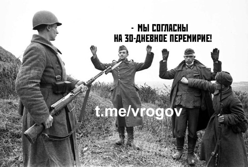 Владимир Рогов: О готовности ЗеРейха к миру