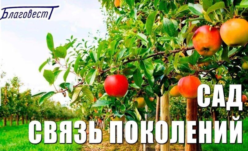 ������� ����������� �������������� ������ ���������� ������� ������� �� ������������� ����� ���� - ����� ���������