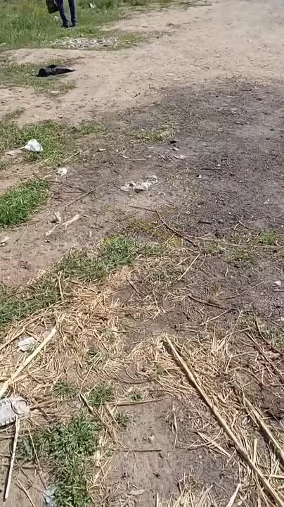 ������ ���������� �������� �� ����� �������� ������ ����� � ����������
