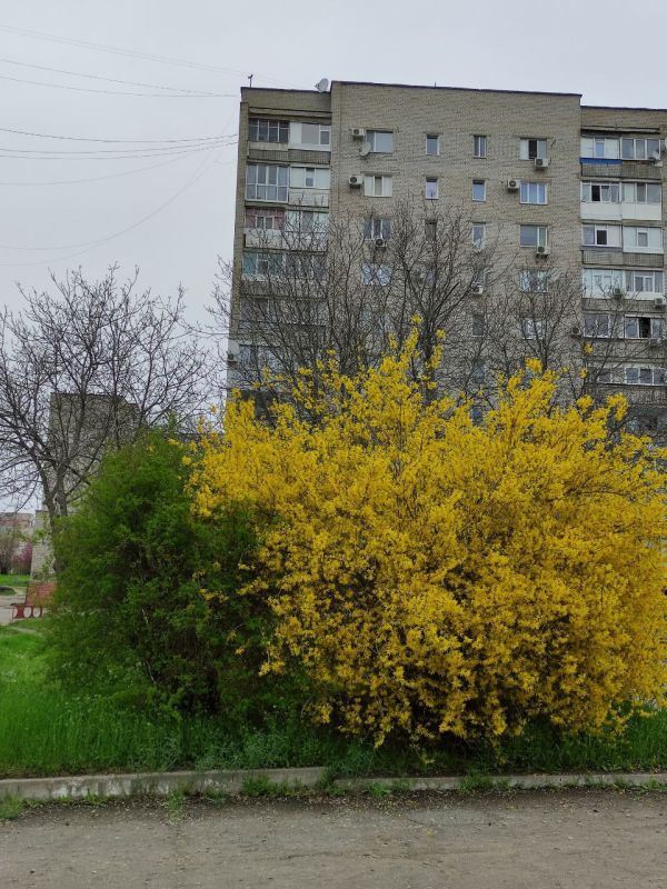 С добрым утром!. Начнем день с улыбки и чашки кофе