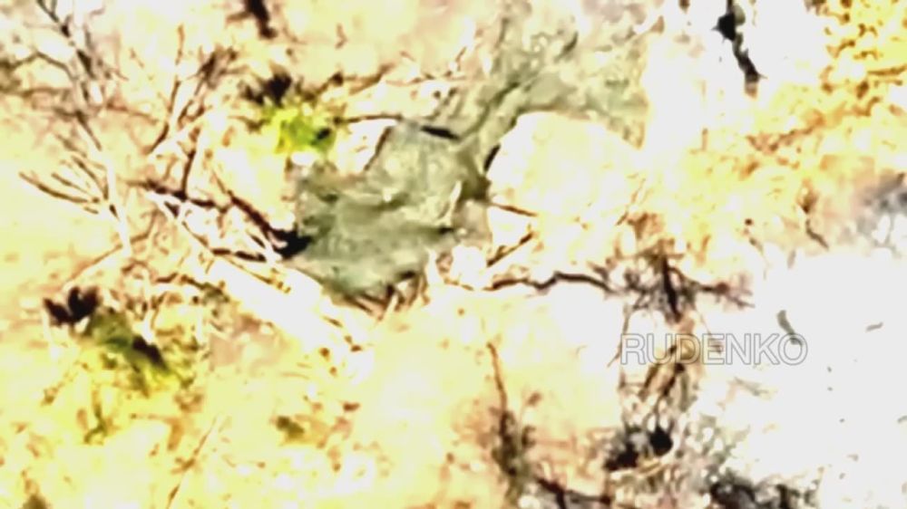 ��������� FPV-������ 42-� ����������� ������� ���������� ������� ��� �� ����������� �����������