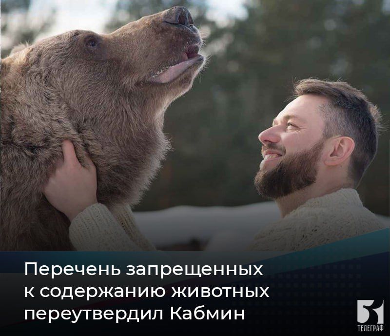 Перечень запрещенных к содержанию животных переутвердил Кабмин