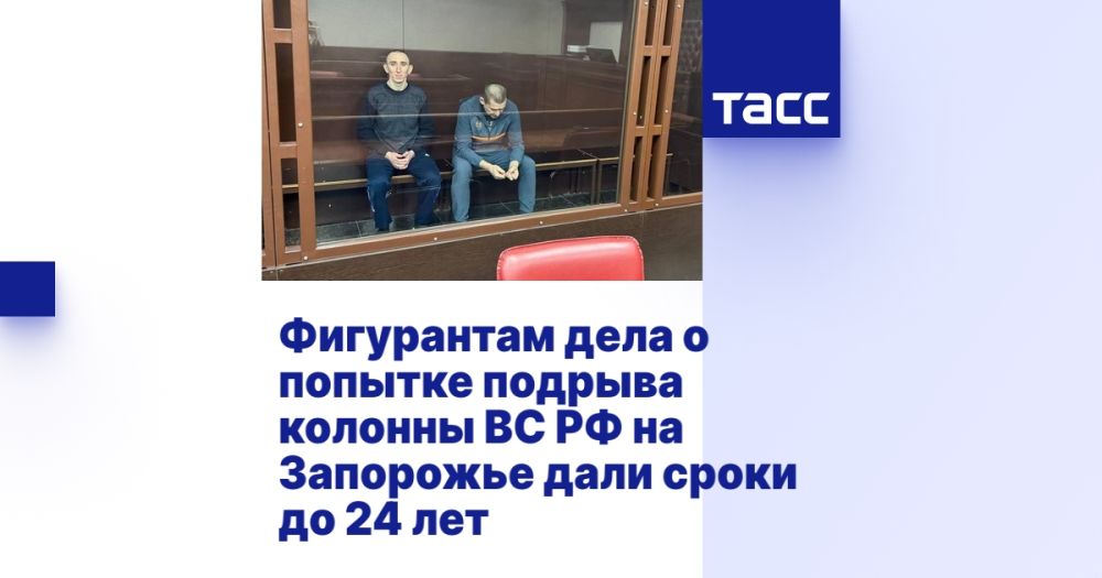 Фигурантам дела о попытке подрыва колонны ВС РФ на Запорожье дали сроки до 24 лет