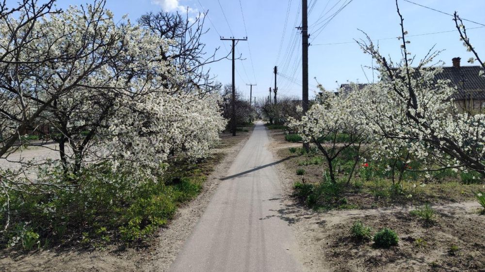 В Запорожской области прогнозируют до 20 градусов тепла