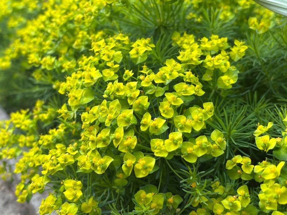 Доброе утро. Подписывайтесь на "Мелитопольский район"