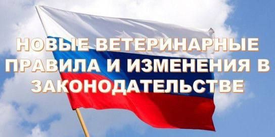 Минсельхоз России принял новые ветеринарные правила касательно автоперевозок поголовья свиней