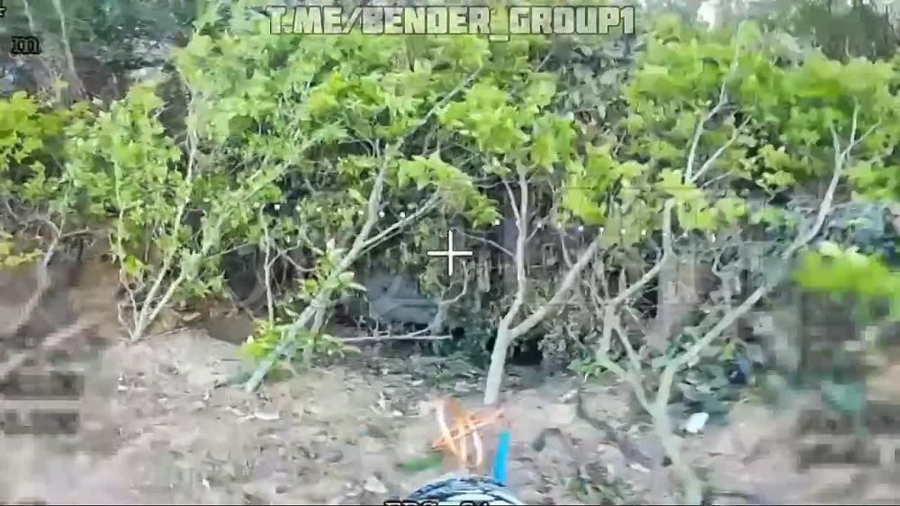 Дрон отправил в ангар замаскированную 2С1 в Запорожской области