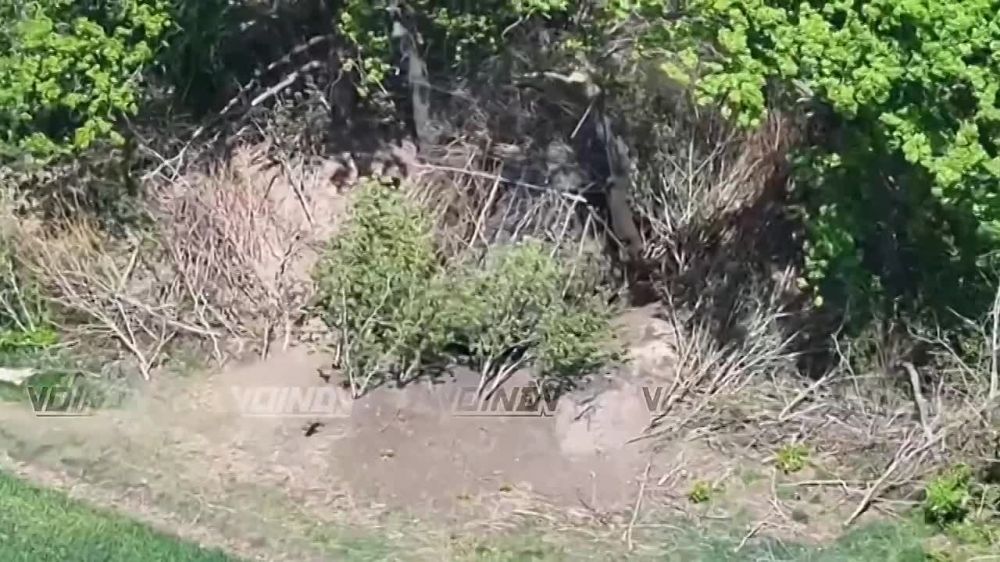 Свежие кадры боевой работы 14-й отдельной гвардейской бригады спецназа группировки "Восток" на Южно-Донецком направлении