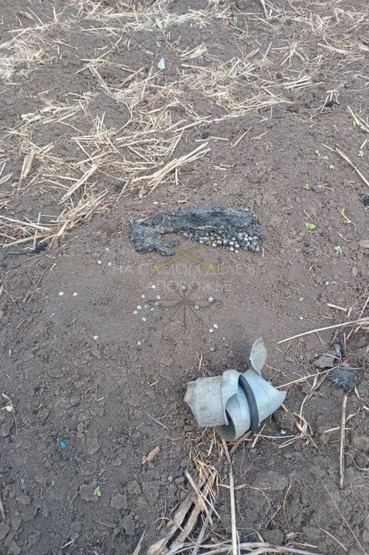 Росгвардия успешно предотвратила атаку на инфраструктуру Херсонской и Запорожской областей