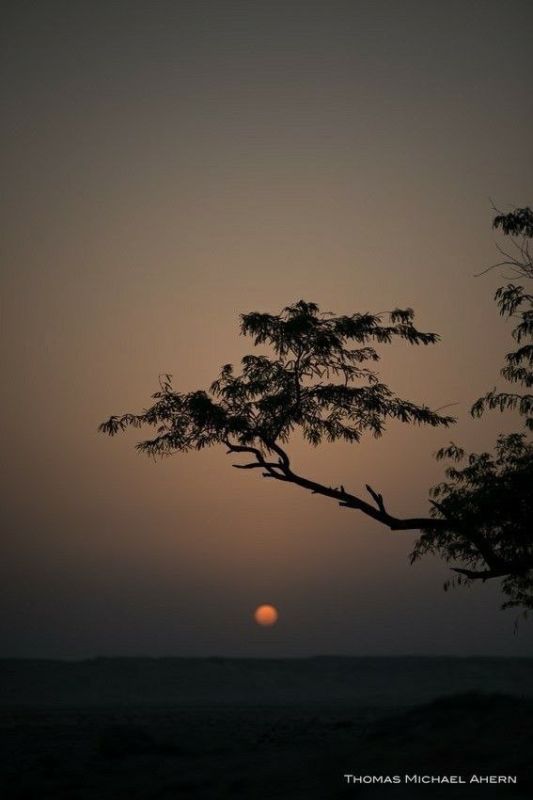 Доброго вечера всем!