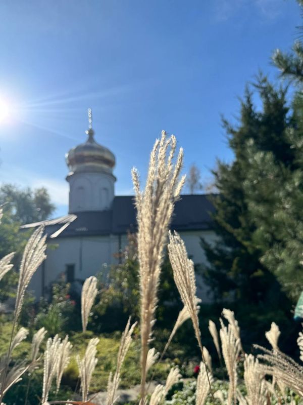 Доброе утро