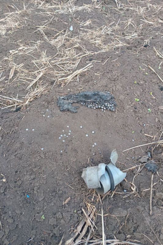 15 ударных БПЛА ВСУ уничтожили росгвардейцы в Запорожской и Херсонской областях