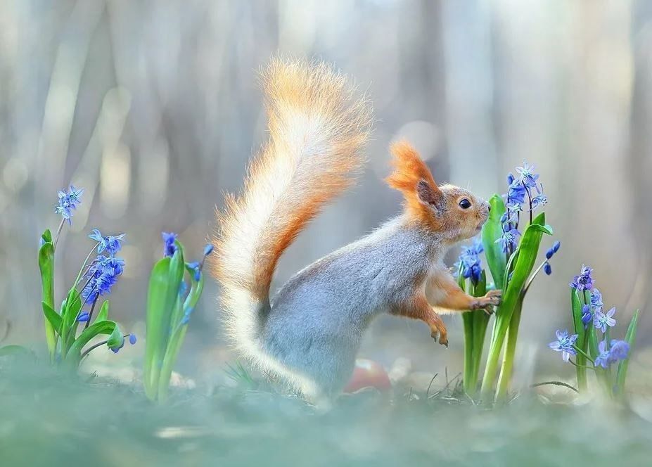 Доброе утро. А вы знали, что сегодня