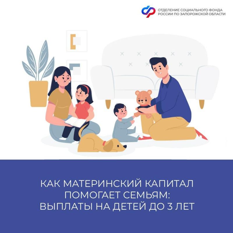 Семьи с материнским капиталом в Запорожской области: ежемесячные выплаты на детей до 3 лет
