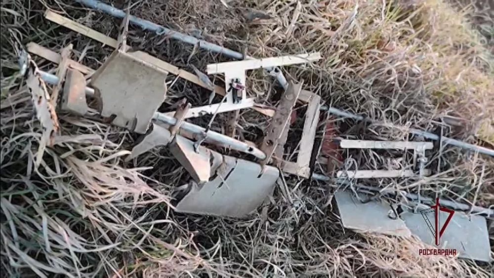 Росгвардия успешно предотвратила атаку на инфраструктуру Херсонской и Запорожской областей