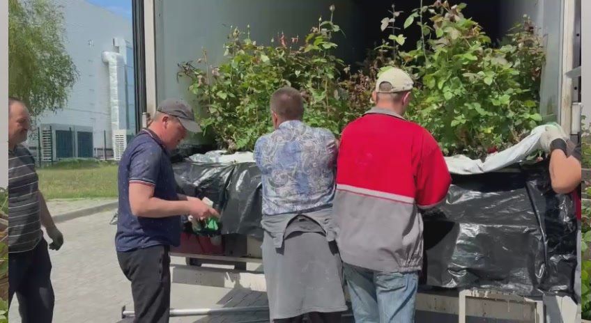 Наталья Романиченко: Сегодня сбылась моя мечта и, как мне кажется, мечта каждого жителя города Васильевка!