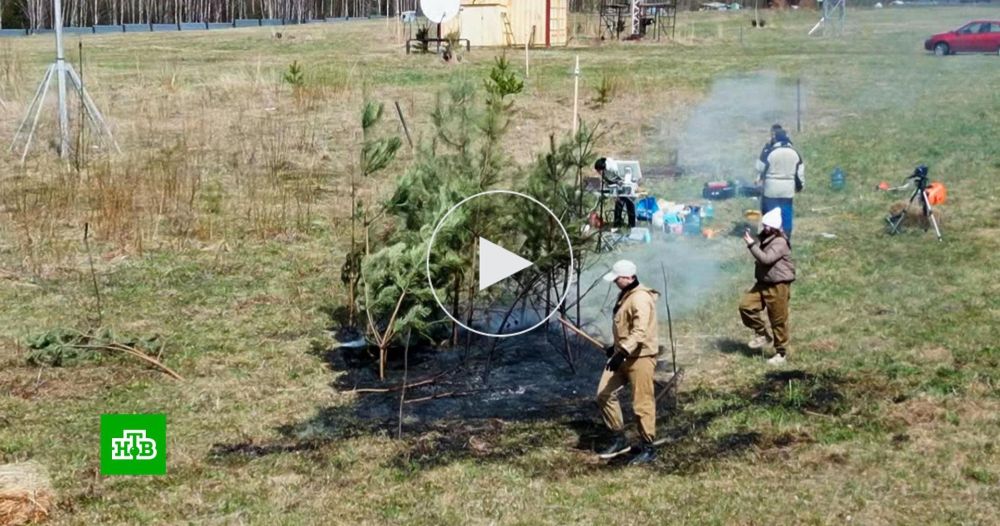 В Томске разрабатывают методику раннего дистанционного выявления лесных пожаров
