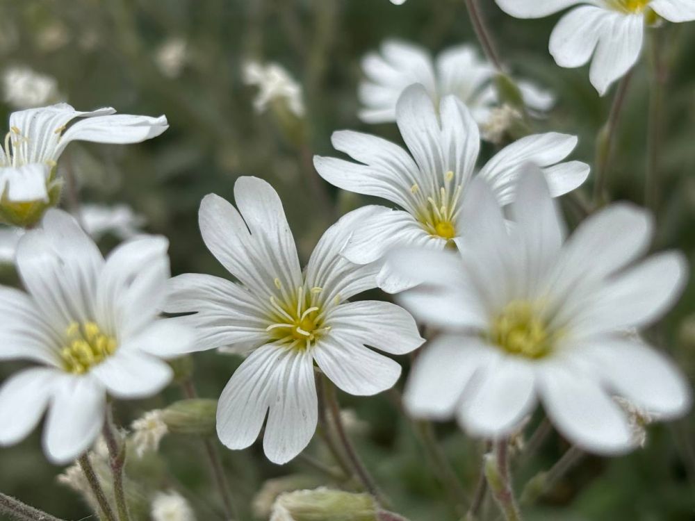 Доброе утро. Подписывайтесь на "Мелитопольский район"