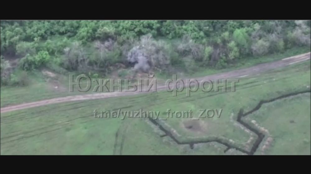 от Енота Херсона за прошедшие сутки