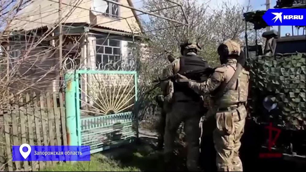 В Запорожской области нашли тайник с оружием и боеприпасами