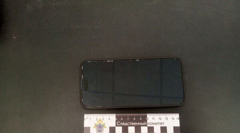 Жительница Мелитополя задержана за публичные призывы к террористической деятельности — СК России по Запорожской области