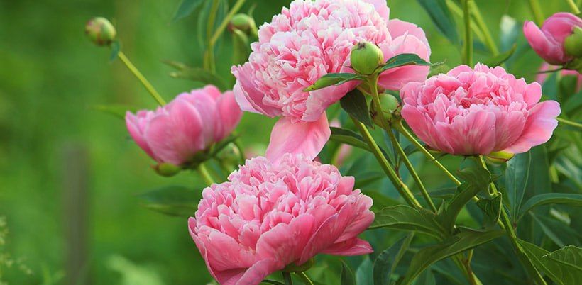 Доброе утро. А вы знали, что сегодня