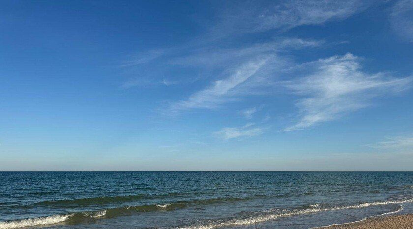 Молодь креветок и раков начнут выращивать для Азовского моря