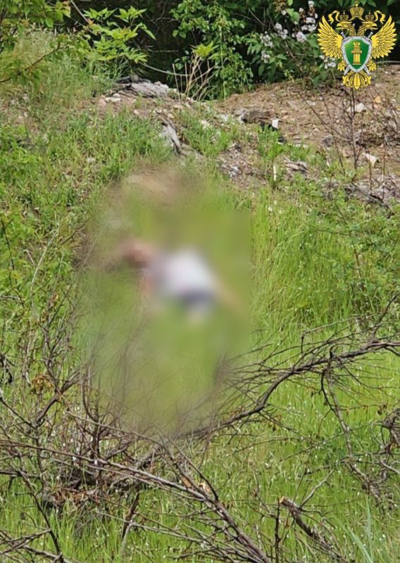 У семилетней погибшей девочки в Бердянске диагностировали травму виска